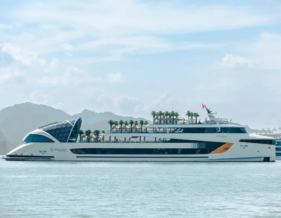Dolphin Halong Cruise - Du Thuyền 6 sao Giải Trí Cao Cấp Trên Vịnh Hạ Long
